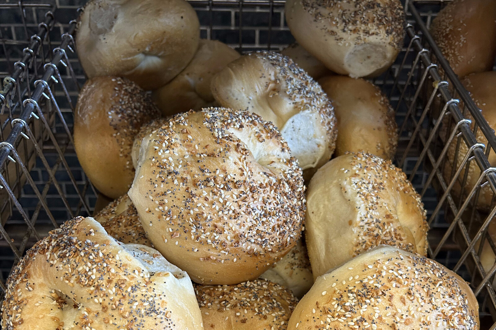 Fresh everything bagels at Life's A Bagel